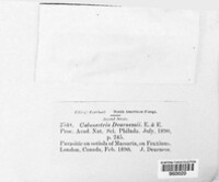 Image Associated With the Occurence